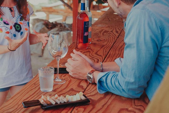 Private and custom group Wine tour Valle de Guadalupe - Customizable Itinerary and Wineries of Your Choice