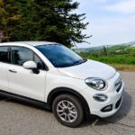 Private Arrival Transfer: Rome Fiumicino Airport to Hotel - Experienced Drivers with Local Knowledge