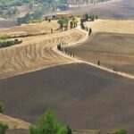 Private Art & Wine Tour in Cortona & Montepulciano, with lunch & 2 wine tastings - Scenic Drive and the "Under the Tuscan Sun" Photo Stop