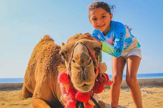 Private ATV and Camel Ride on a White Sand Beach - Pick-up and Transportation from Cabo San Lucas