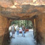 Private Avenue of the Giants Redwoods Day Trip from San Francisco - Driving Along the Iconic Avenue of the Giants