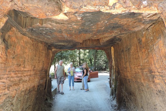 Private Avenue of the Giants Redwoods Day Trip from San Francisco - Driving Along the Iconic Avenue of the Giants