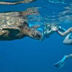 Private Beginner Paddleboard Lesson with Snorkel in Turtle Town - The Benefits of a Private, Beginner-Friendly Paddleboard Lesson