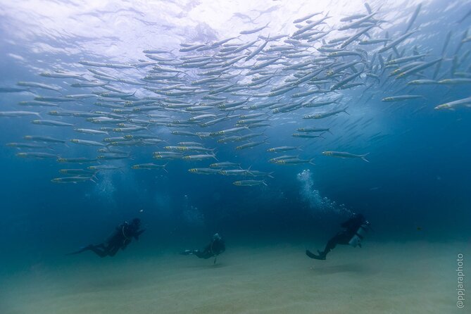Private Beginner Scuba Diving Experience in Cabo San Lucas - Dive Preparation and Safety Measures