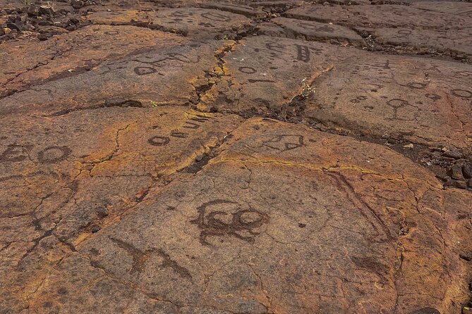 Private Big Island: History & Local Shopping Tour - Exploring Kaloko-Honokohau National Historical Park