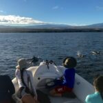 Private Big Island Snorkeling - The Benefits of a Private Small-Group Snorkeling Tour