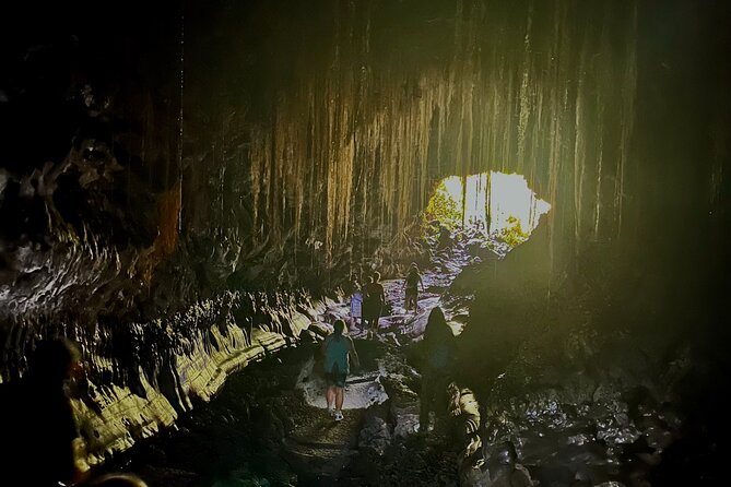 Private Big Island Tour: Coffee, Beaches, Volcanos, Waterfalls - Exploring the Coffee Culture at Greenwell Farms