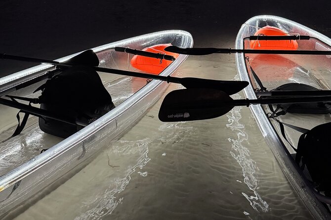 Private Bioluminescence Tour by clear Kayak in Holbox - Why Choose a Private Tour in a Clear Kayak?