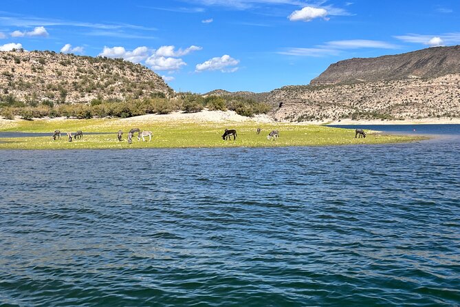 Private Boat Rental w/Captain in Lake Pleasant Arizona - Starting Point at the South Ramp Parking Lot in Peoria