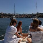 Private Boat Tour 6 Bridges and Ribeira 1h30 group price up to 6px - Starting Point at Douro Marina in Vila Nova de Gaia
