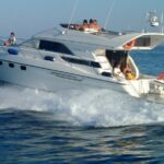 Private Boat Tour on Royal Ocean Yacht, Tenerife - Exploring Tenerife’s Marine Life: Whale and Dolphin Watching