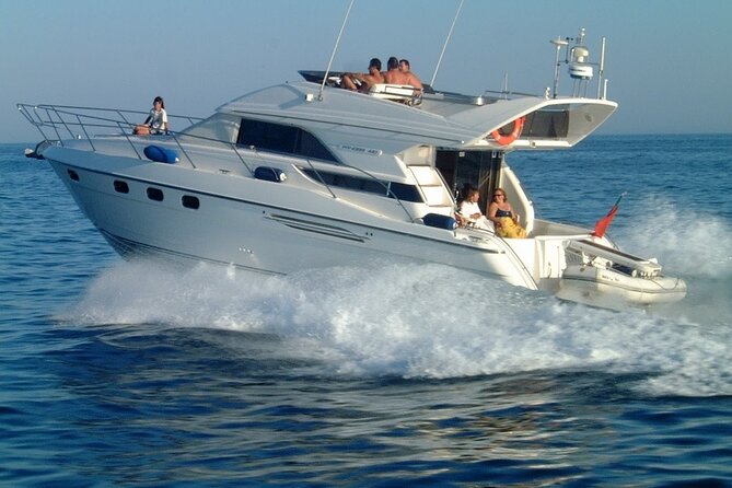 Private Boat Tour on Royal Ocean Yacht, Tenerife - Exploring Tenerife’s Marine Life: Whale and Dolphin Watching