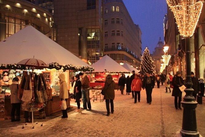 Private Budapest Christmas Market guided tour and Danube Evening cruise package - Experience the Christmas Markets with Local Flavor
