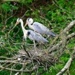 Private Canyon&Cave Tour from Kutaisi(Martvili-Okatse-Prometheus) - Visiting Prometheus Cave: A Natural Wonder of 70 Million Years