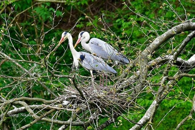 Private Canyon&Cave Tour from Kutaisi(Martvili-Okatse-Prometheus) - Visiting Prometheus Cave: A Natural Wonder of 70 Million Years