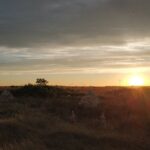 Private Cape Kaliakra & the Balchik Botanical Gardens from Varna - Departure from Varna and Transportation Details