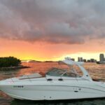 Private Captained Boat Tour in Miami for up to 12 Passengers - The Private Boat Experience in Miami: An Intimate Water Adventure