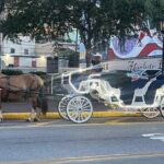 Private Carriage Tour of Galveston - Galveston’s Historic Streets on a Horse-Drawn Carriage