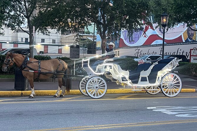 Private Carriage Tour of Galveston - Galveston’s Historic Streets on a Horse-Drawn Carriage