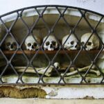 Private Castles and Brewery Day Trip From Prague To Kutna Hora - Visiting the Sedlec Ossuary: The Bone Church