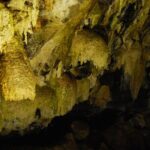Private Caves Tour with a Geologist - Visiting Gruta do Natal: Lava Tube and Lava Formations