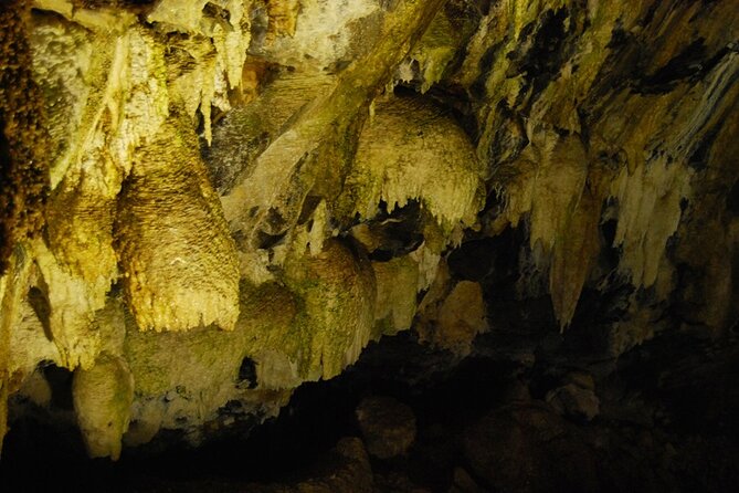 Private Caves Tour with a Geologist - Visiting Gruta do Natal: Lava Tube and Lava Formations