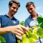Private Champagne tour, family growers and lunch - The Unique Charm of Champagne Avenue and UNESCO Heritage Sites