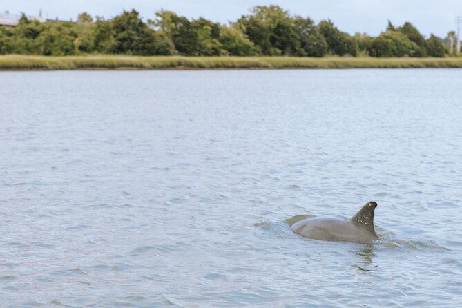 Private Charleston Dolphin Tour - Starting Point and Booking Convenience in Charleston