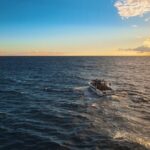 private charter 3 Hours Whale Encounter puerto colon adeje - Exploring the Coastal Waters of Adeje