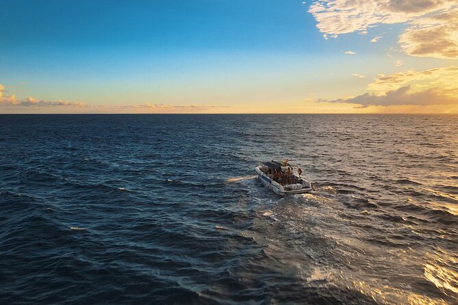 private charter 3 Hours Whale Encounter puerto colon adeje - Exploring the Coastal Waters of Adeje