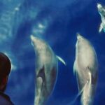 Private Charter in Tenerife south max 7 people - Departure Point and Group Size