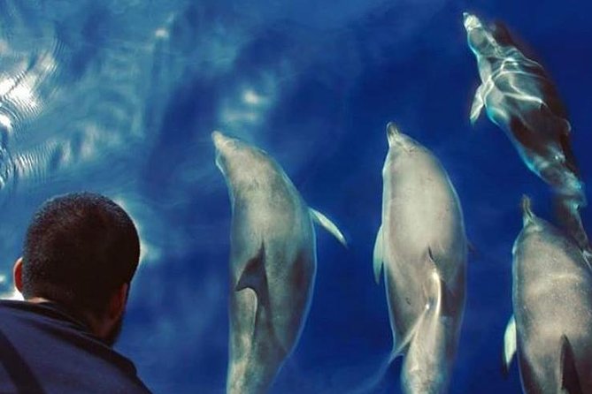 Private Charter in Tenerife south max 7 people - Departure Point and Group Size