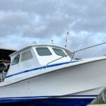 Private Charter Morning Snorkel and Wildlife Watch. Up to 18 Pax - Choosing the Best Snorkel Site Based on Conditions