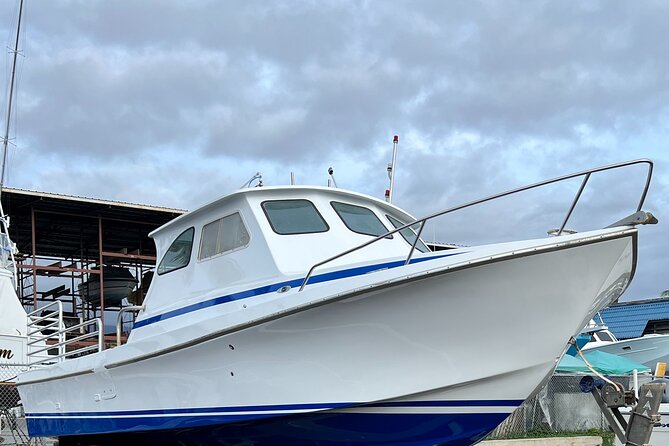 Private Charter Morning Snorkel and Wildlife Watch. Up to 18 Pax - Choosing the Best Snorkel Site Based on Conditions