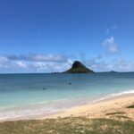 Private Circle Island Full Day up to 14 people (Se habla Español) - Starting at Honolulu: Convenience and Flexibility