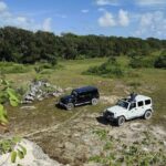 Private Cozumel Cave and Ruin Exploration Tour with Mexican Lunch - Relax on the Pristine Shores of Playa Chen Rio