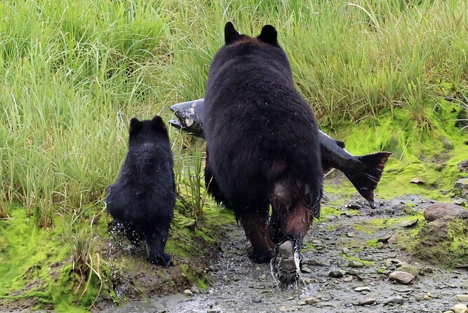 Private Custom Excursion with a Local for up to 14 people - Meet Your Local Guide and Start at the Ketchikan Visitors Bureau