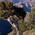 Private Custom Grand Canyon Tours - Starting from Sedona: Meeting Point and Logistics