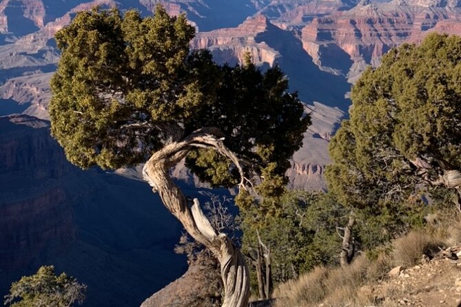 Private Custom Grand Canyon Tours - Starting from Sedona: Meeting Point and Logistics
