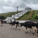 Private Custom Tour in São Miguel Island - Starting Point: Pickup in Ponta Delgada