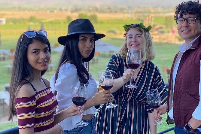 Private Custom Transport in Valle for 5 or 6 People Wine Food - Exploring Valle de Guadalupe’s Winery Scene in Comfort