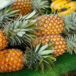 Private Customizable Grand Circle Island Tour on Oahu - Visiting Cultural and Agricultural Highlights