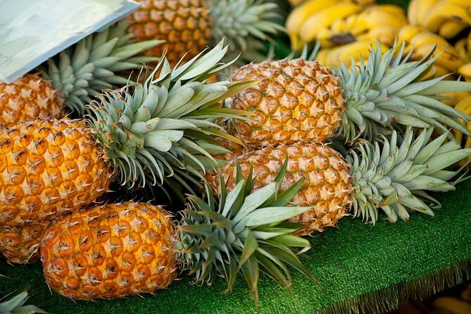 Private Customizable Grand Circle Island Tour on Oahu - Visiting Cultural and Agricultural Highlights