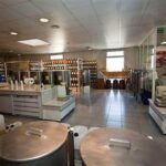 Private Customized French Riviera Tour from Port Villefranche 6H - Exploring Nice: City Highlights and Old Town Strolls