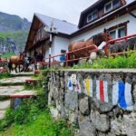 Private day hike from Brasov to Malaiesti Cottage - Exploring Malaiesti Cottage in Bucegi Natural Park