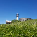 Private day tour in Champagne - Visiting Local Champagne Producers: Small-Scale Excellence