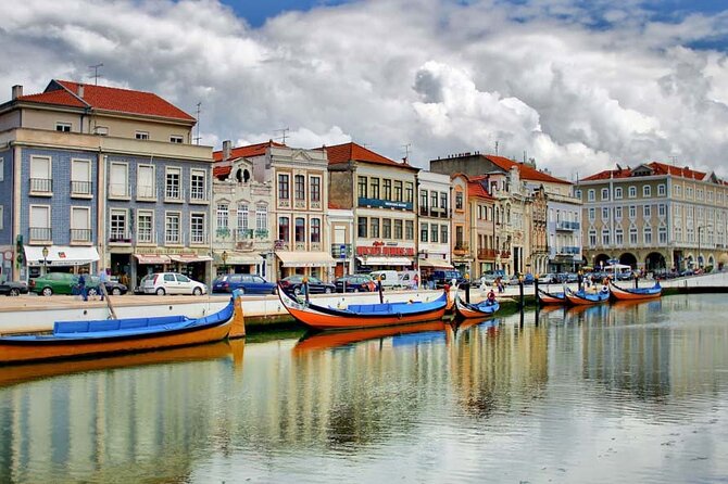 Private day tour of Coimbra and Aveiro from Lisbon - Delving into Coimbra’s Cultural Heritage