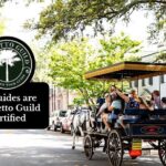 Private Daytime Horse-Drawn Carriage Tour of Charleston - An Intimate Hour of Charleston’s Architectural Highlights