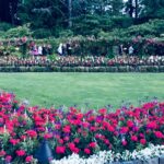 Private Deluxe Tour of Victoria & to Butchart Gardens (5 hrs) - The Highlight: Butchart Gardens
