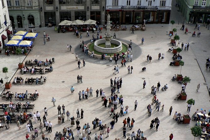 Private Direct Transfer From Vienna Airport to Bratislava - Vehicle Options for Every Group Size